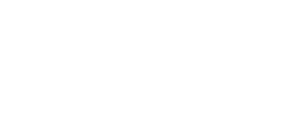 Solar Smart Services Logo White